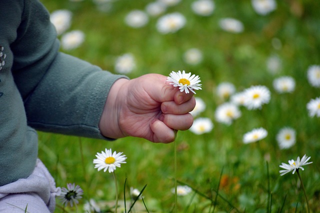 Haringey schools secure green grants to transform outdoor spaces
